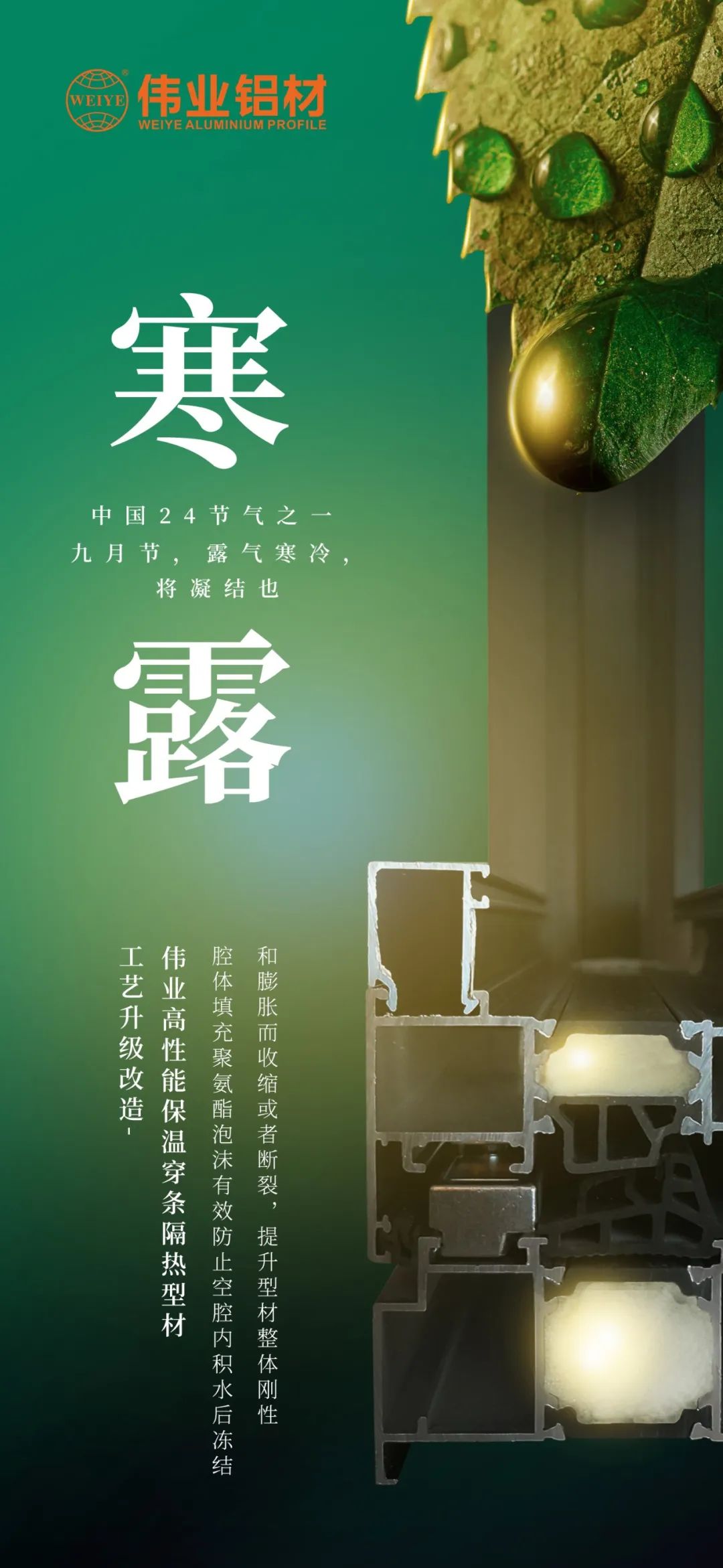 #寒露 九月節(jié)，露氣寒冷，將凝結(jié)也 時(shí)光入深秋，歲月便深情